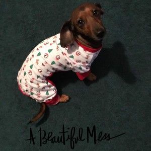 Meet your Posher, Ellen